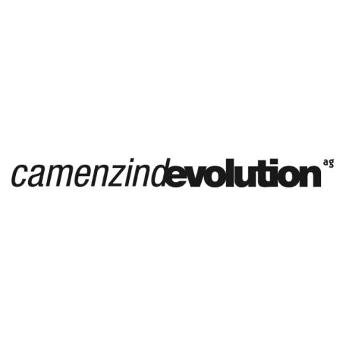 Camenzind Evolution Camenzind Evolution