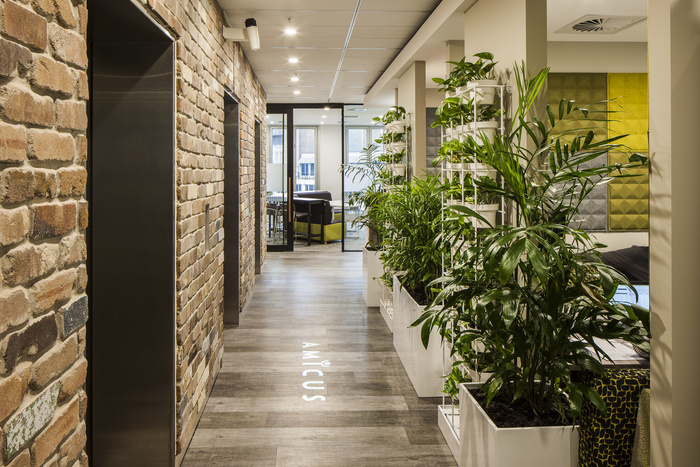 amicus-office-sydney-office-design-1