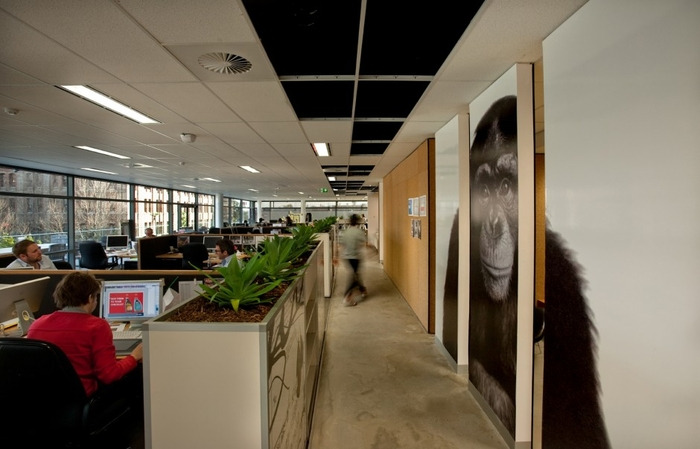 The Leo Burnett Offices - Sydney - 10
