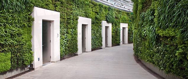Workplace Element: Green, Living, Plant Walls - 5