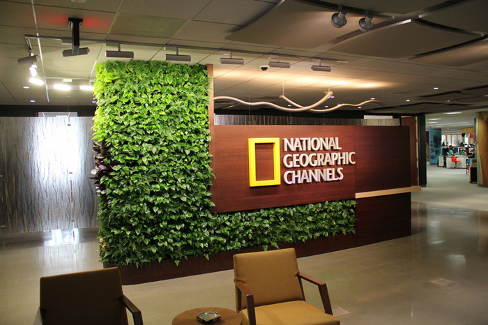 Workplace Element: Green, Living, Plant Walls - 7