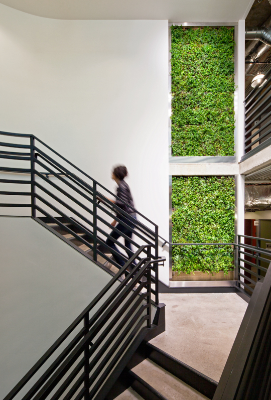 Workplace Element: Green, Living, Plant Walls - 6