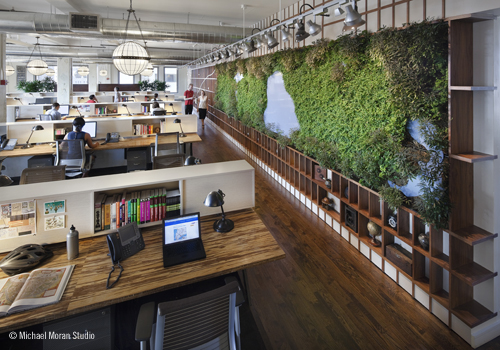 Workplace Element: Green, Living, Plant Walls - 9