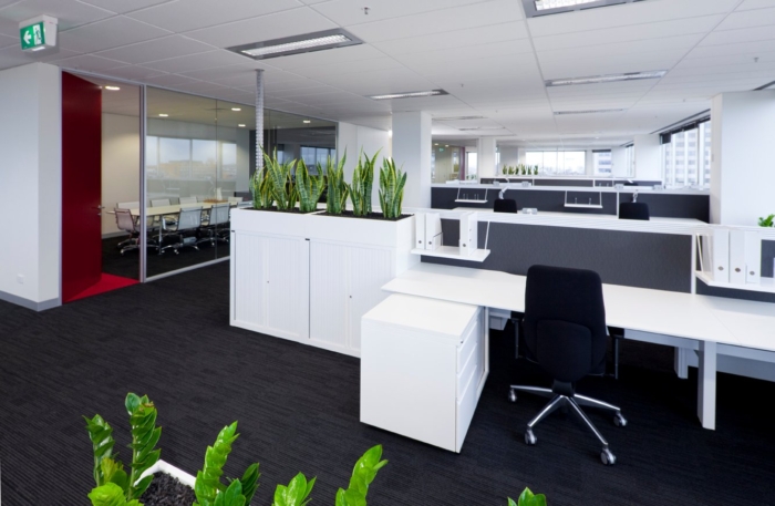 Australand Residential's Spacious Offices - 4