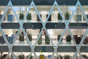 The Bright, Open, and Transparent Offices of CJIB