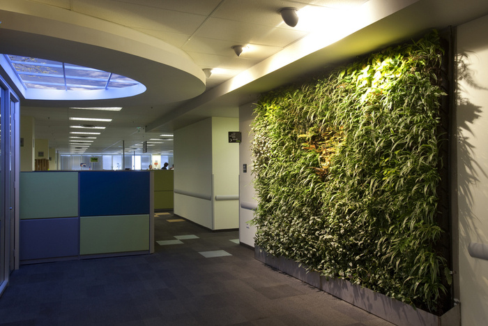 A Brief Introduction to Biophilic Design - 2