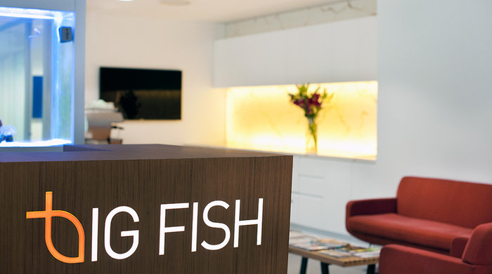Big Fish Consulting Group's Sydney Offices - 1