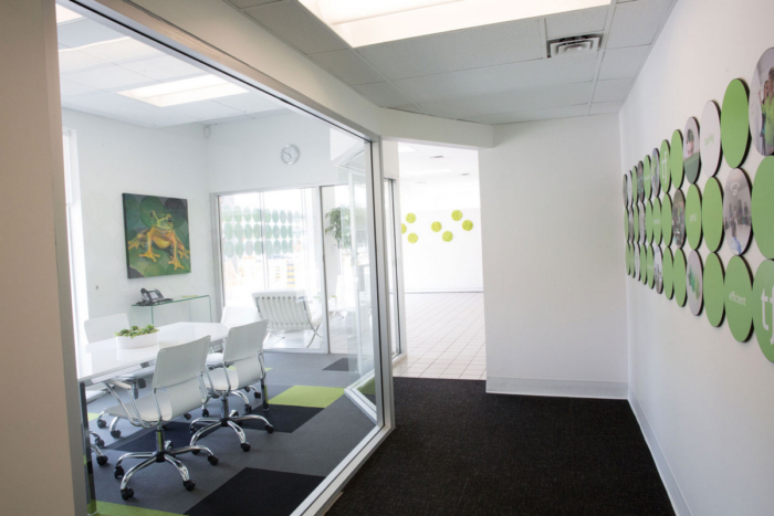 Treefrog's New Newmarket Offices - 3
