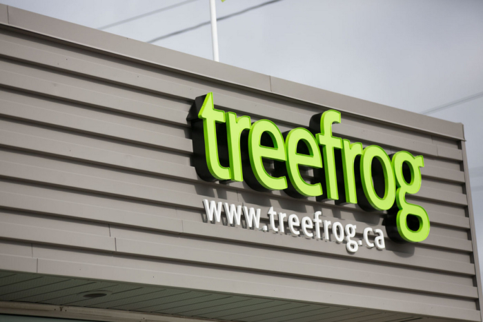 Treefrog's New Newmarket Offices - 14