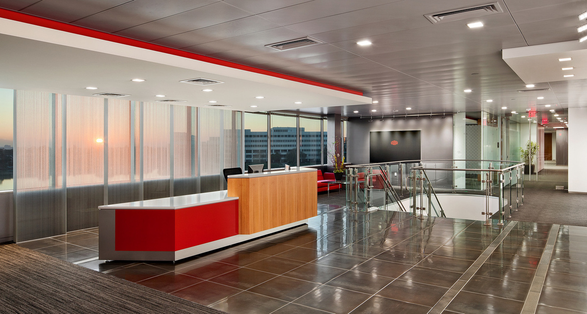 Xyience office