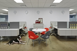 Stoli - New York City Offices