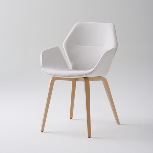 Ginkgo | Office Snapshots