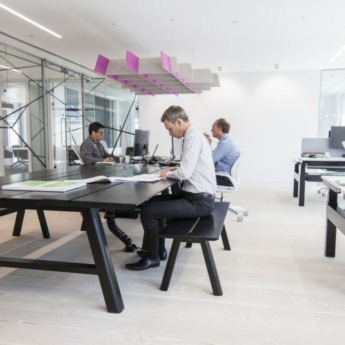 recent Ani Sarpe office photography projects
