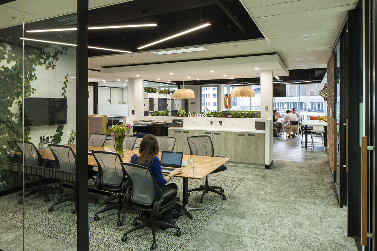 Amicus - Sydney Offices - Office Snapshots