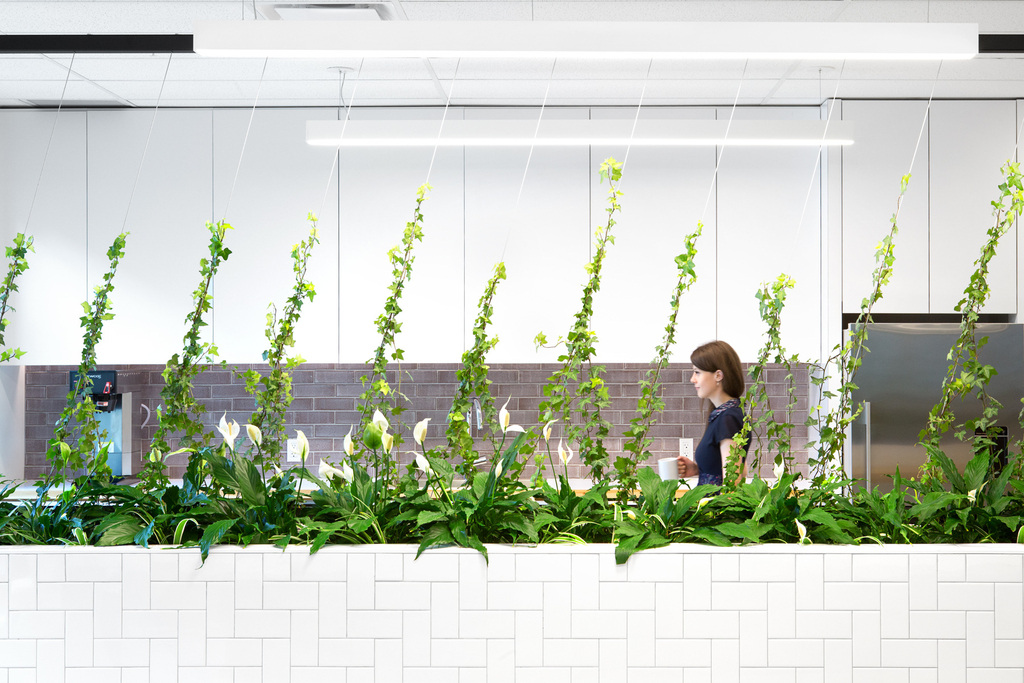 D&B Cloud Innovation Center - Vancouver Offices | Office Snapshots