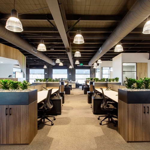 recent Lisa Atkinson office photography projects