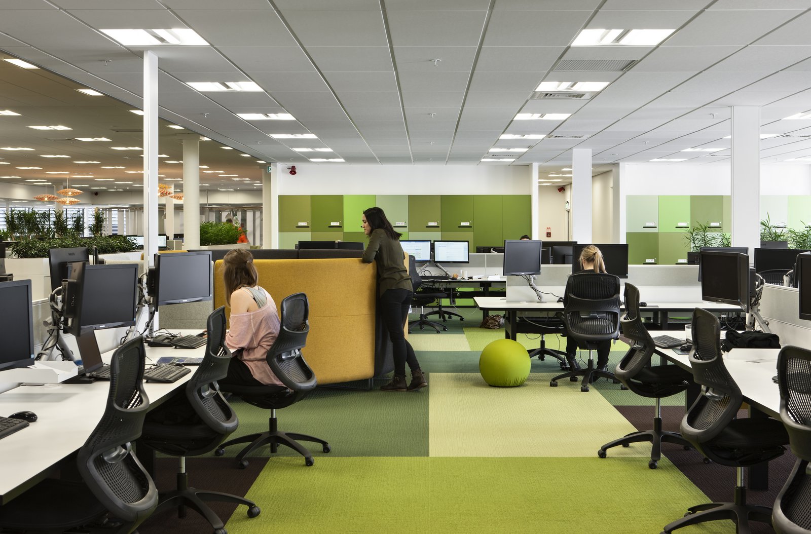 Entertainment Company Offices - Auckland | Office Snapshots