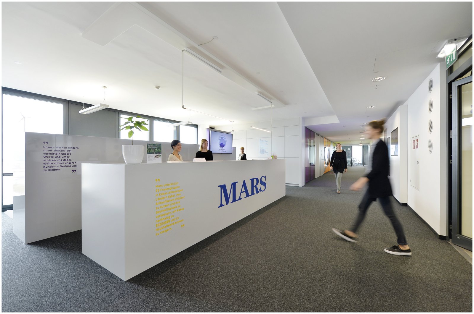 Mars Offices Vienna Office Snapshots