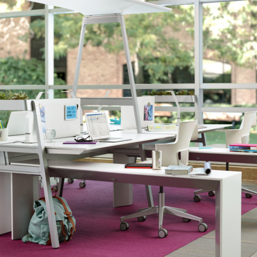 Bivi Collection - 0