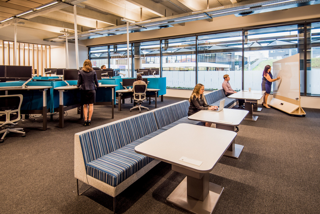 Trustpower Offices Tauranga Office Snapshots