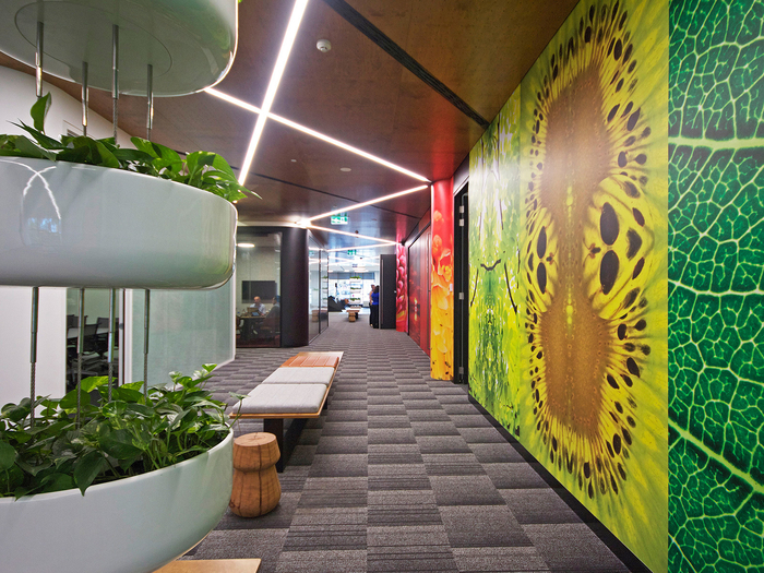 Canon Offices - Sydney - 4