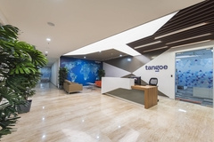 World Map in Tangoe Offices - Bangalore