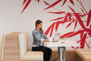 Cisco Offices - San Jose