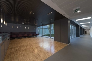 Mercedes Benz Italia Offices - Rome