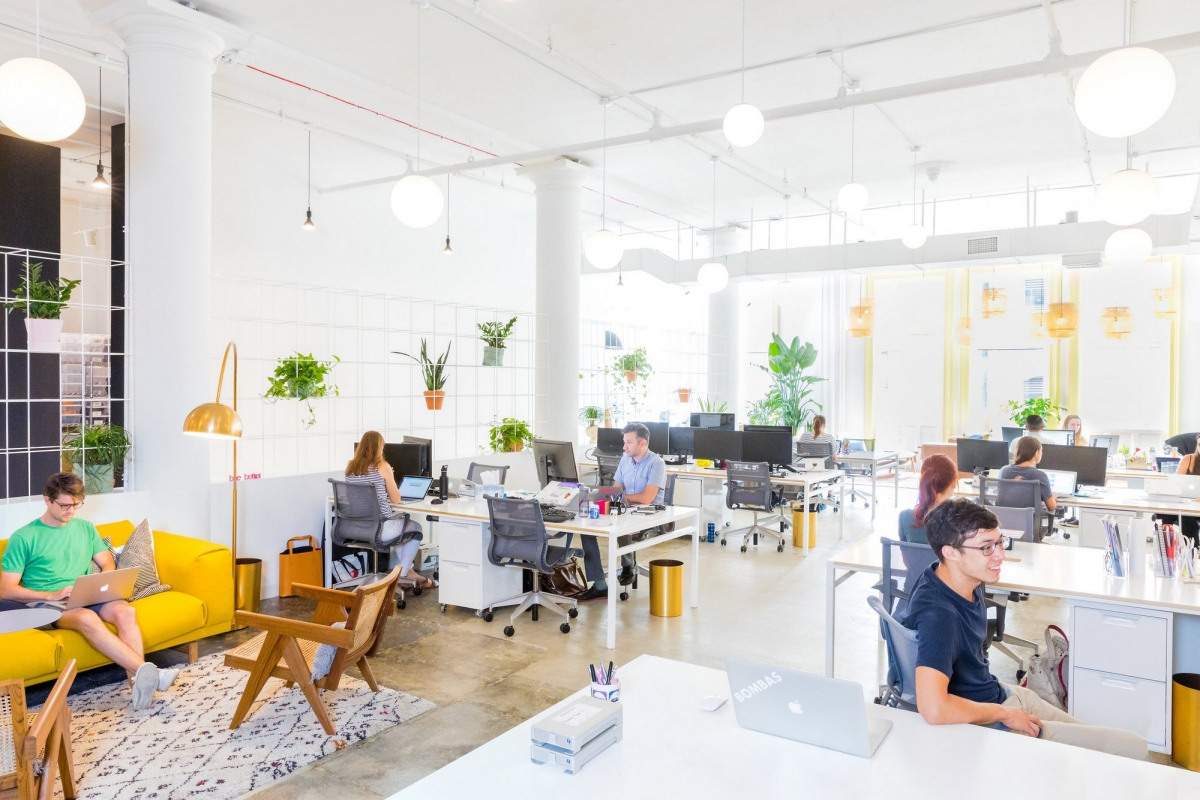Sock Fancy office