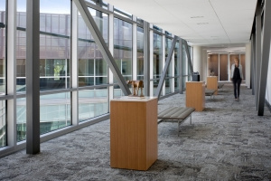 American AgCredit Headquarters - Santa Rosa