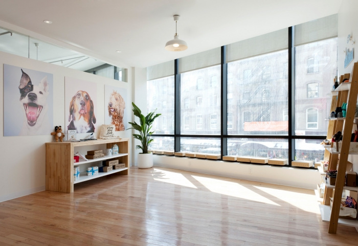 Bark & Co Offices - New York City - 4
