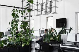 Candlefox Offices - Melbourne