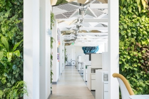 Solar Mosaic Offices - Oakland