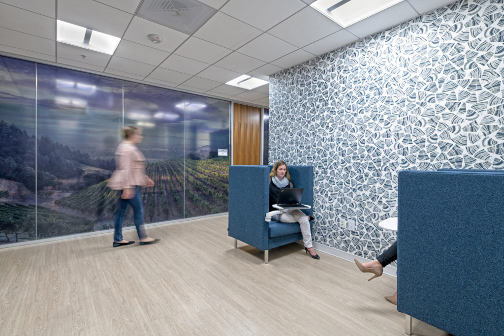 AAA Offices Walnut Creek Office Snapshots