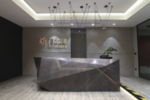 Radore Offices - Istanbul | Office Snapshots