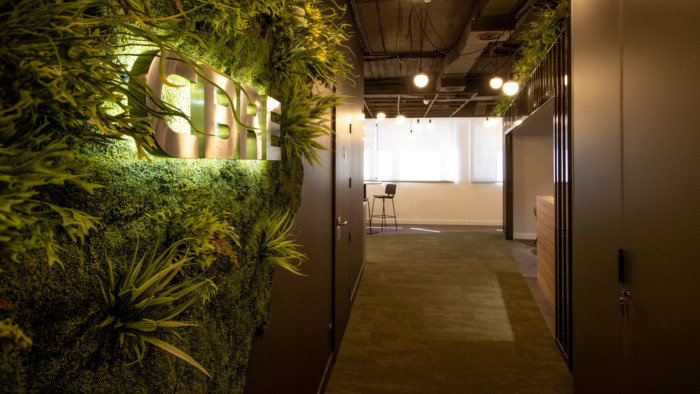 CBRE Global Workspace Solutions Office - Madrid - 11