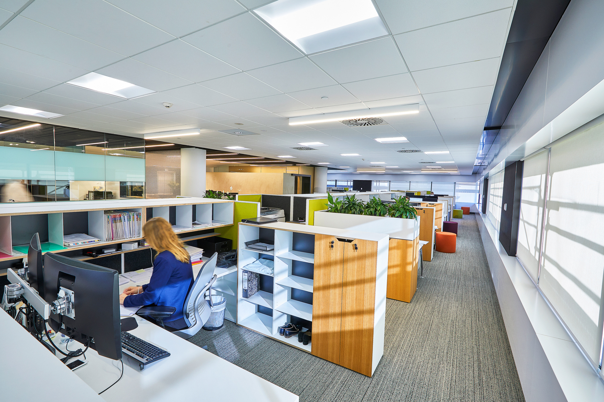 Greenwood Roche Offices - Wellington | Office Snapshots