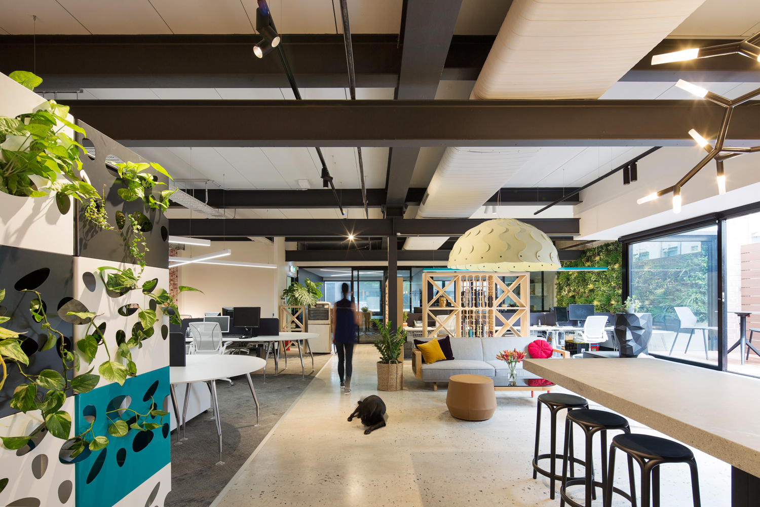 rfa Architects Offices - Sydney | Office Snapshots