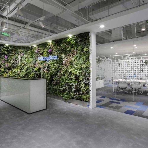 recent Luluxi office photography projects