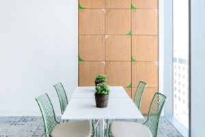 Edelman Offices - Dubai