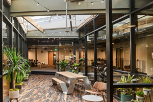 Steelhead Productions Offices - Playa Vista