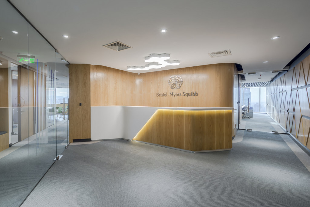 Bristol-Myers Squibb Offices - Santiago | Office Snapshots