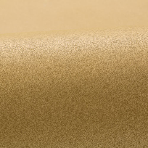 Upholstery Leather by Spinneybeck