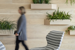 Brattle Group Offices - Boston