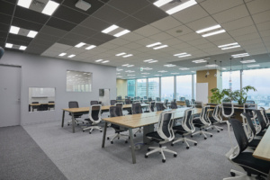 Mediba Offices - Tokyo