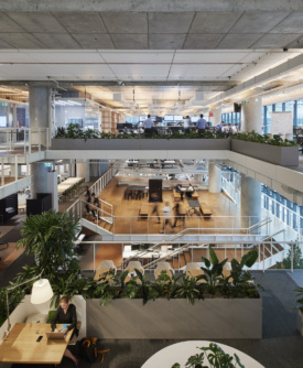 Arup Offices - Melbourne | Office Snapshots