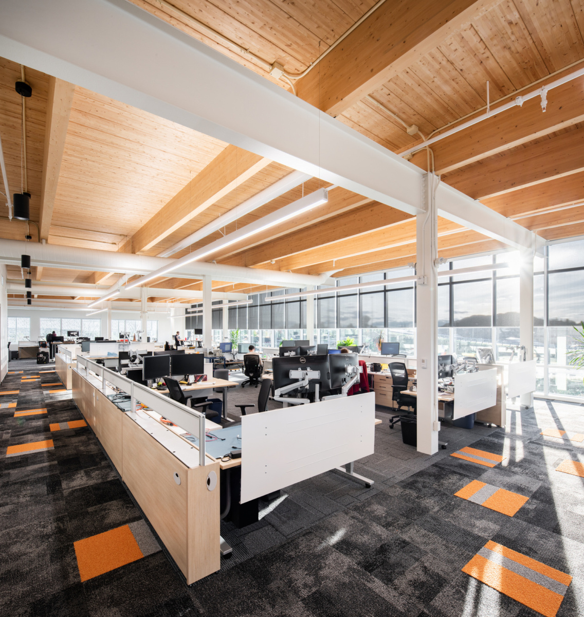 Eddy office