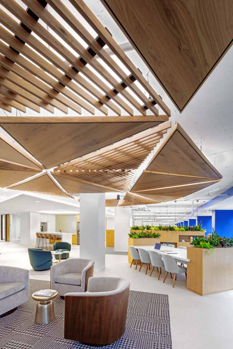 Oceana Offices - Washington DC | Office Snapshots