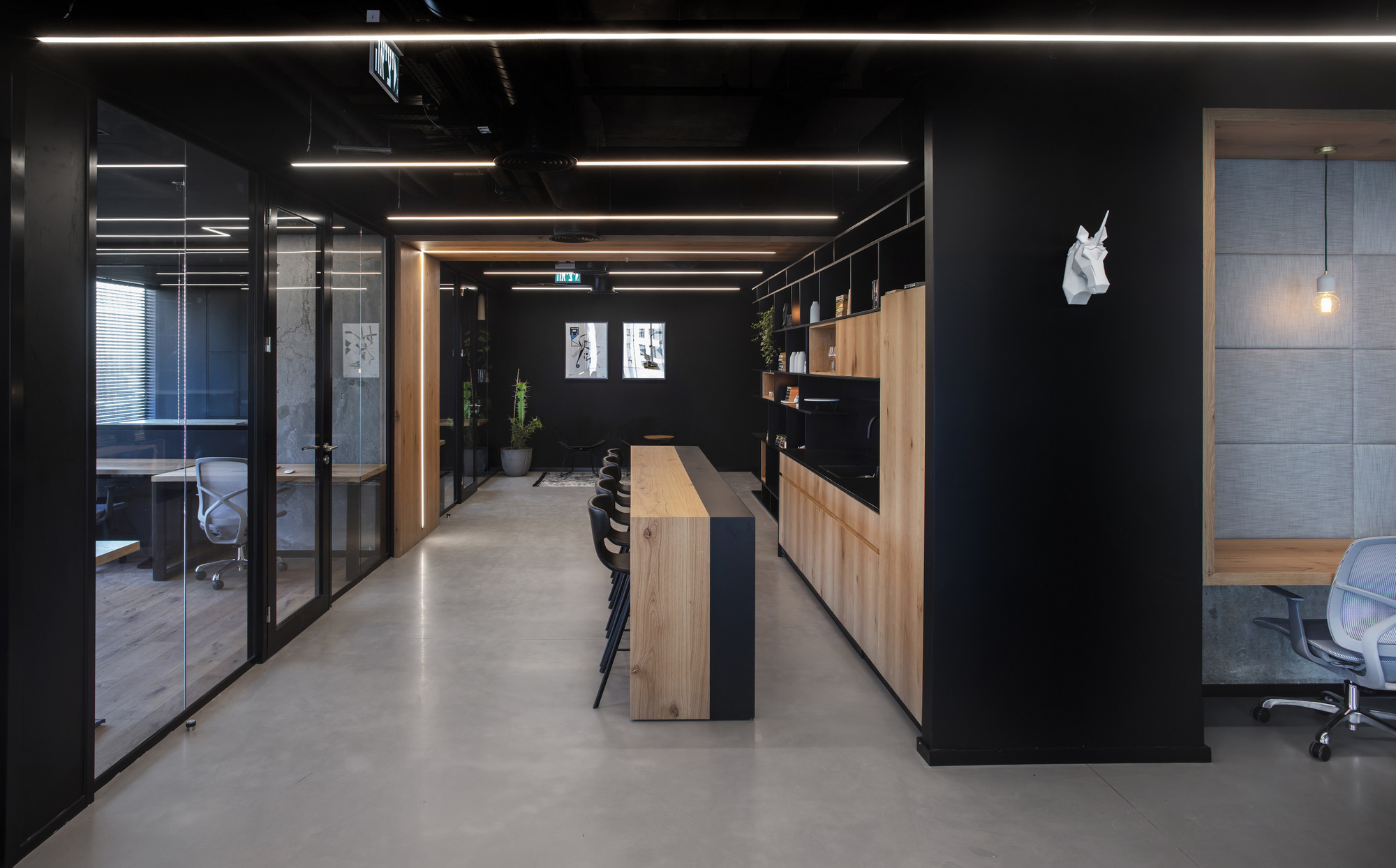 Procoto office
