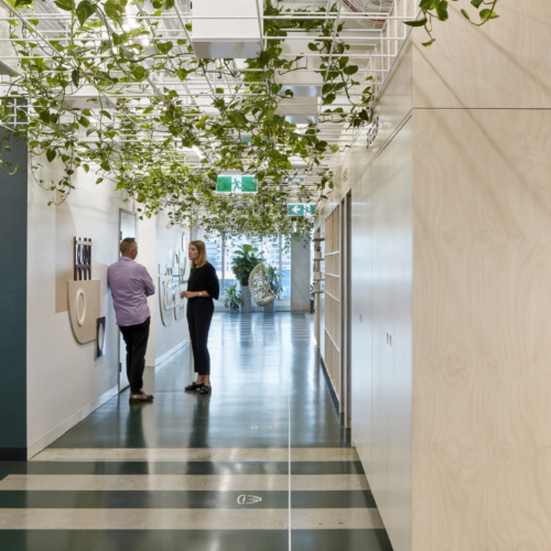 Cardno APAC Offices – Brisbane